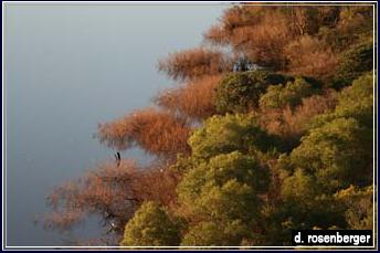 rio uruguay 2 foto stonek